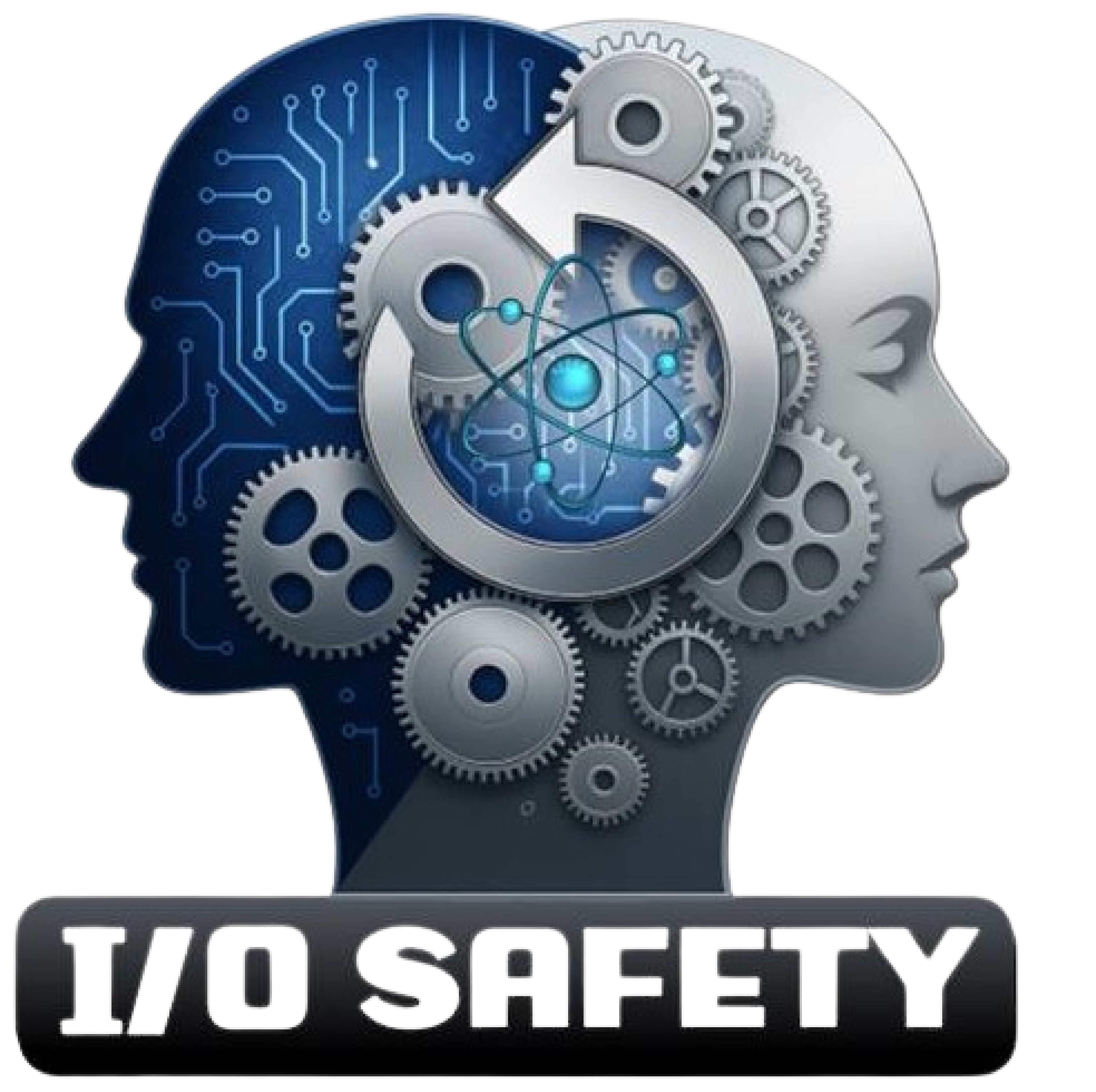 IO Safety